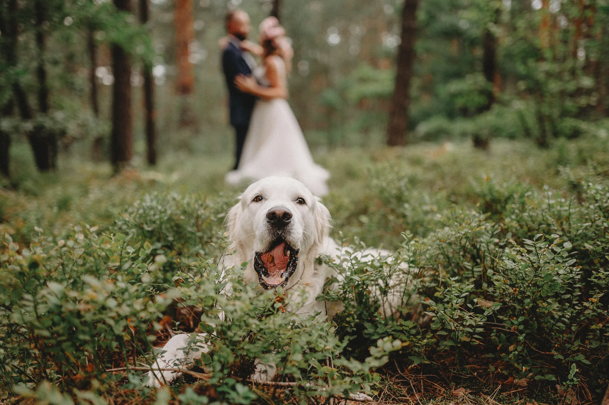 Zdjęcie galerii 162