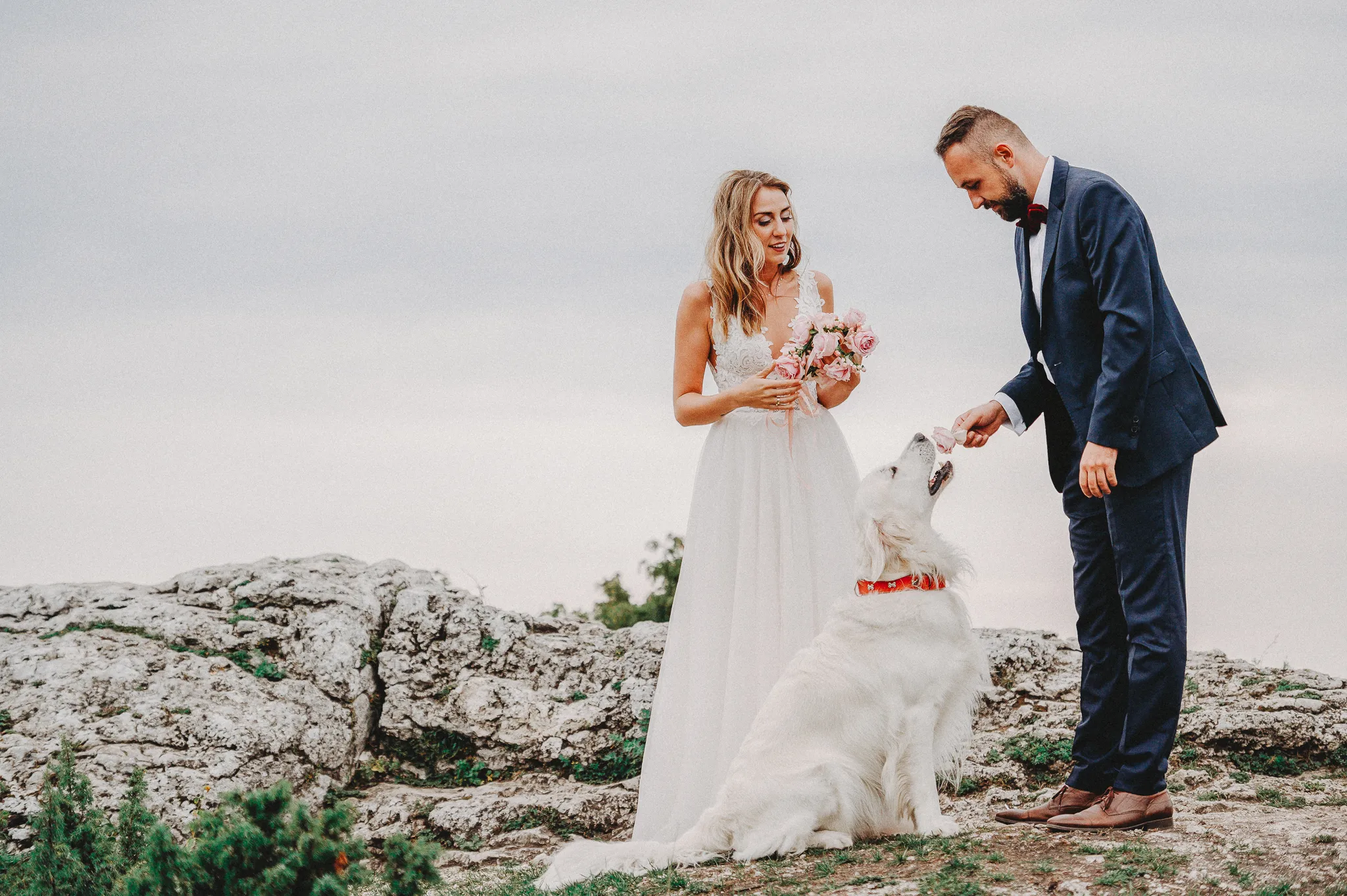 Zdjęcie galerii 183